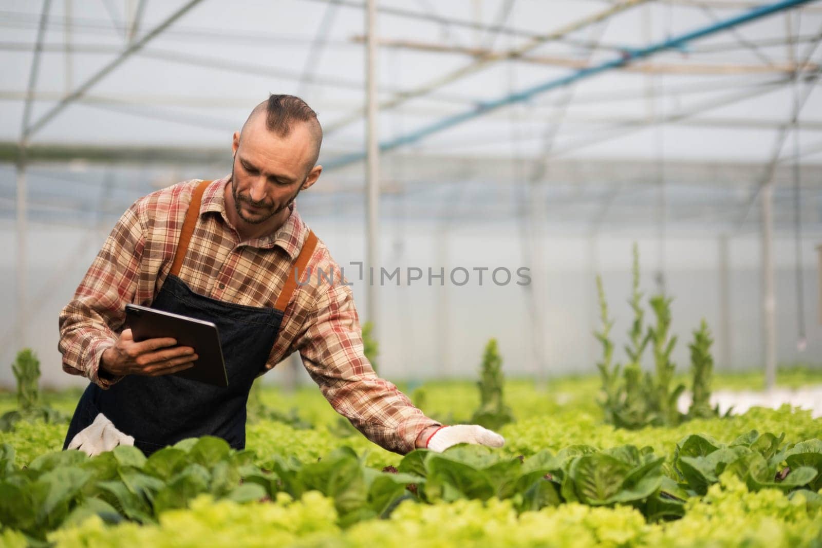 Farmer checking quality by tablet agriculture modern technology. Concept using modern technologies in agriculture