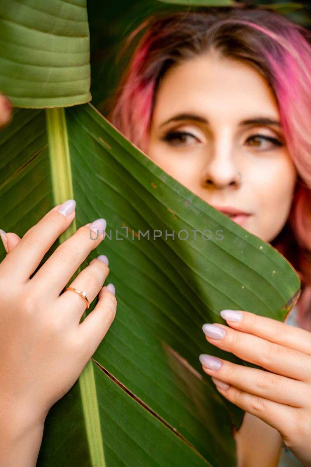 Woman portrait pink hair banana leaf. A beautiful young woman among the huge green leaves of a banana tree