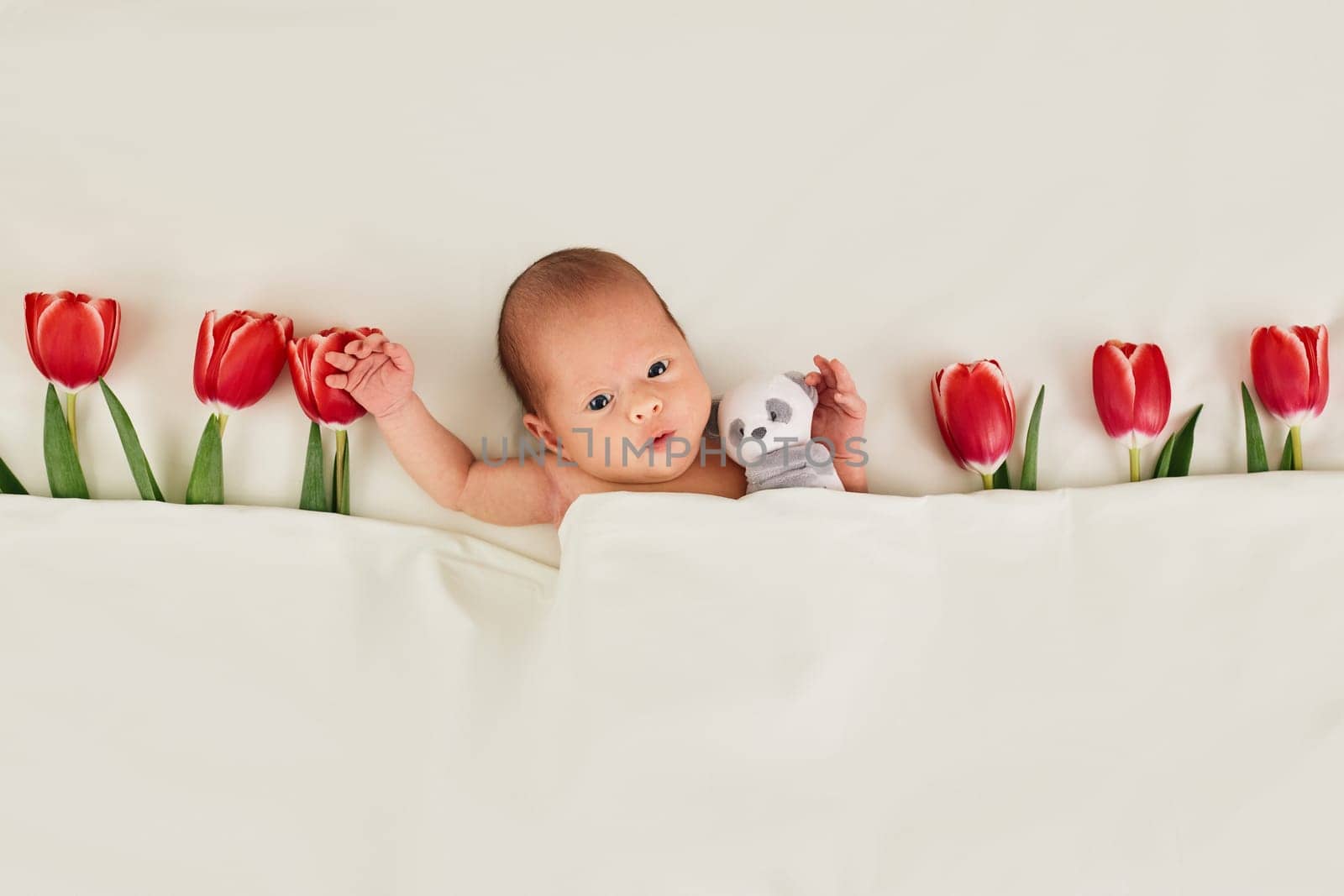 cute newborn baby with red tulips and teddy bear toy under blanket