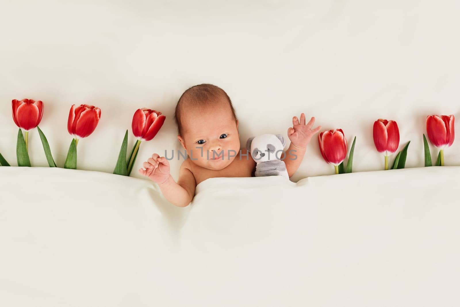 cute newborn baby with red tulips and teddy bear toy under blanket
