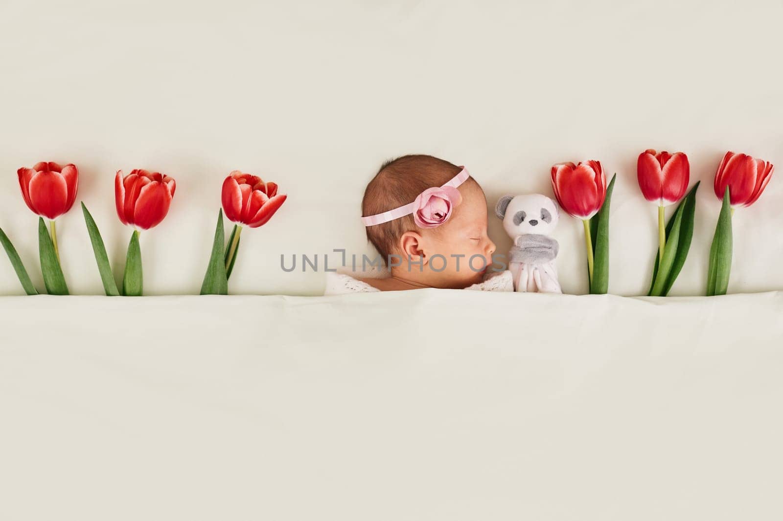cute newborn baby with red tulips and teddy bear toy under blanket