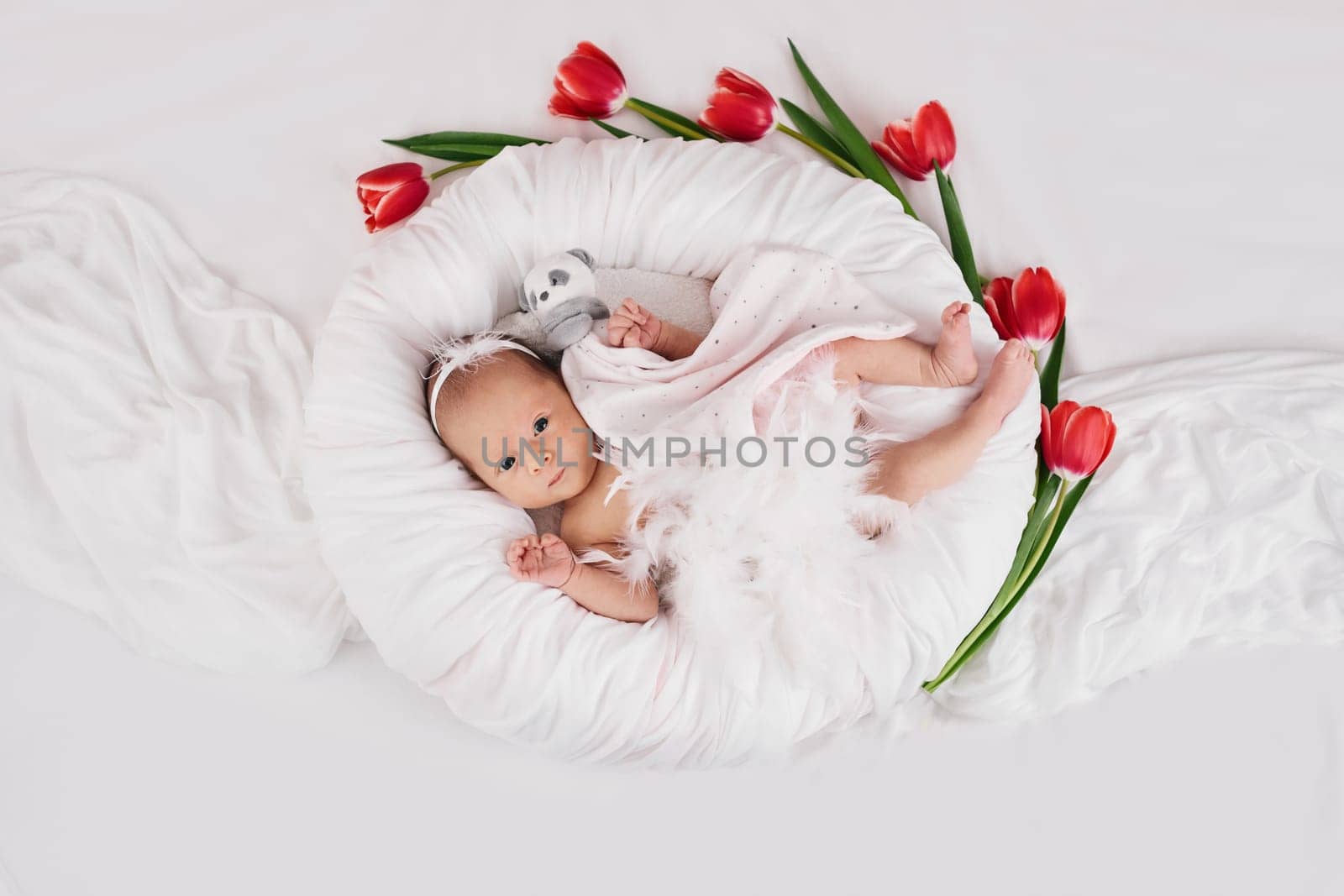 sweet newborn baby in dress with feathers in white nest and red tulips