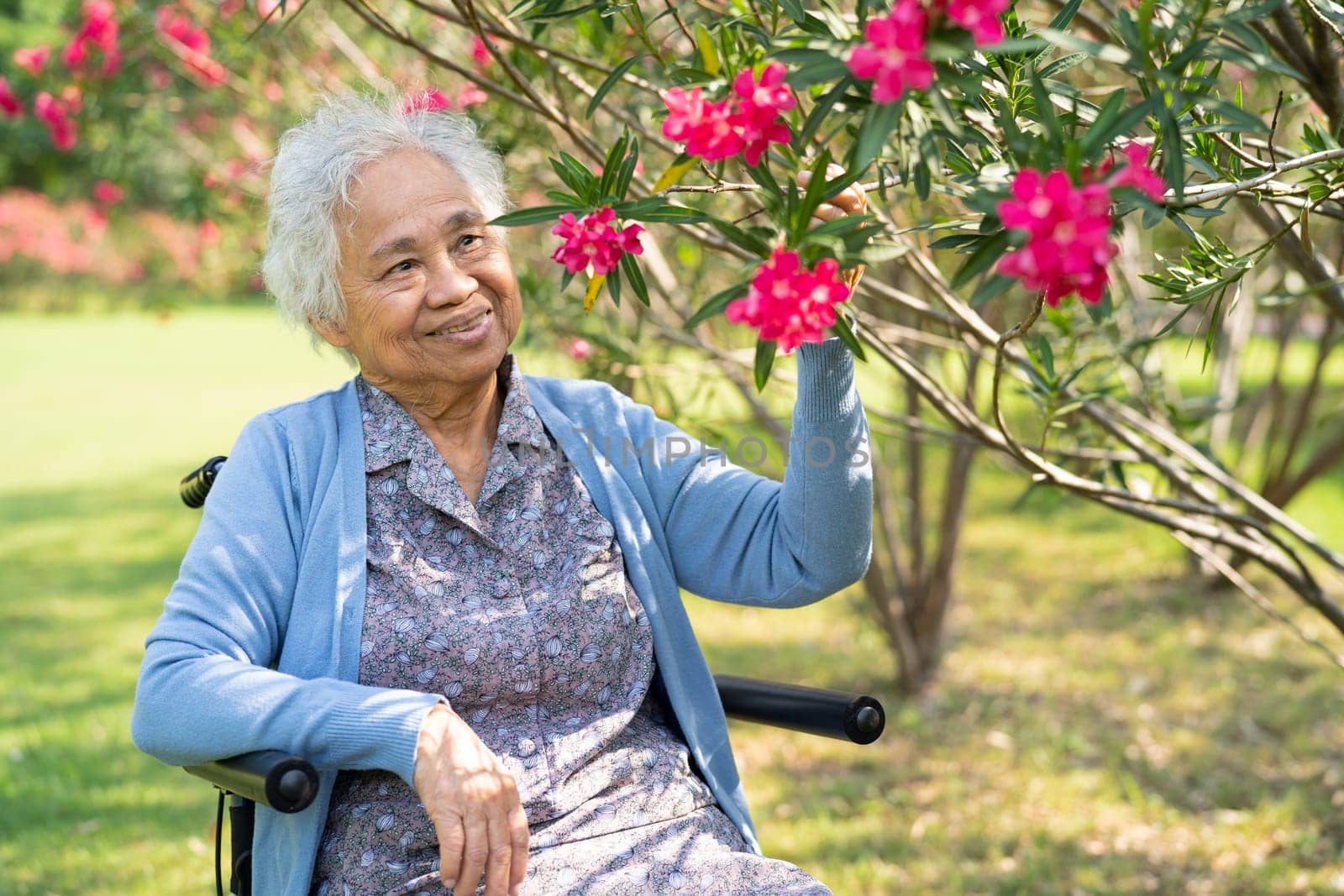 Asian elderly woman holding red rose flower, smile and happy in the sunny garden. by pamai