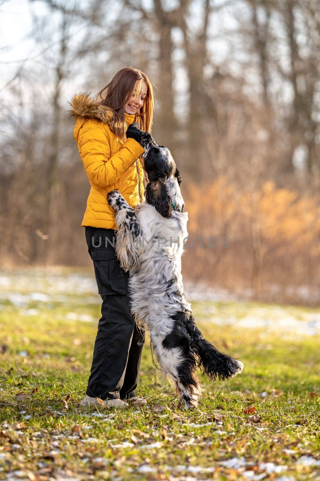 young teenage girl plays with her dog in nature. english setter by Edophoto