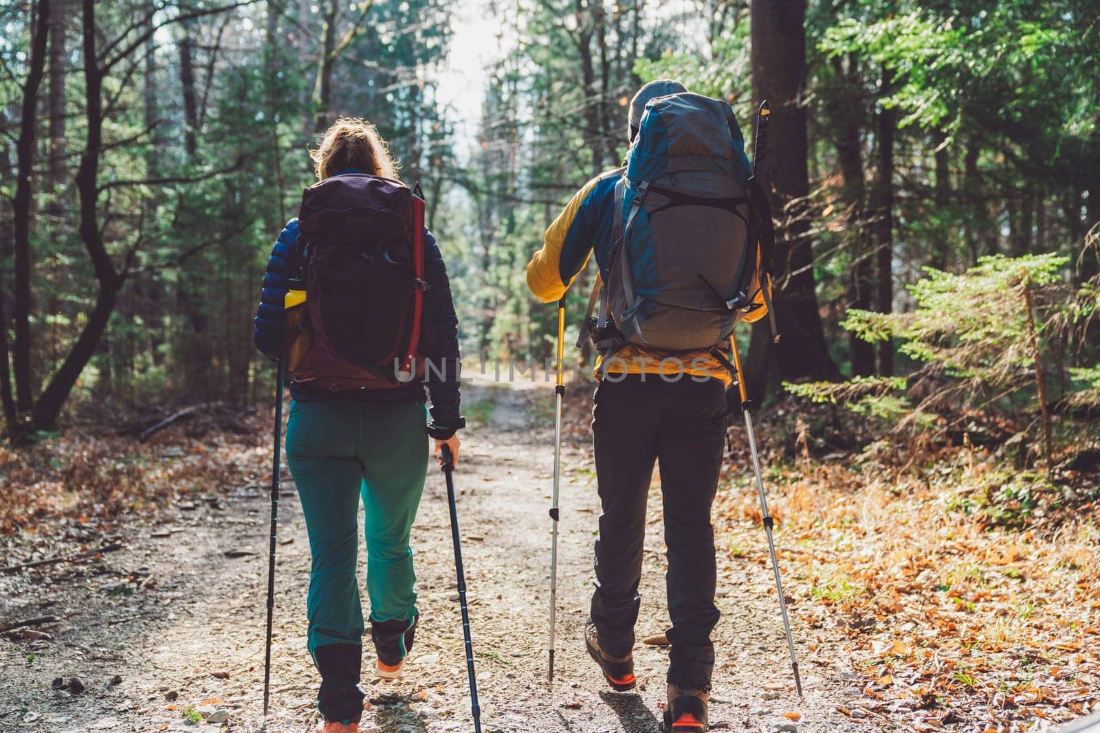 Back view of mountaineering couple walking in the forest with hiking poles by VisualProductions