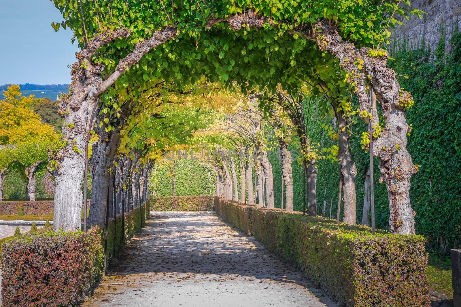 Gardens alleys in idyllic public park at springtime, Wurzburg, romantic road of Germany