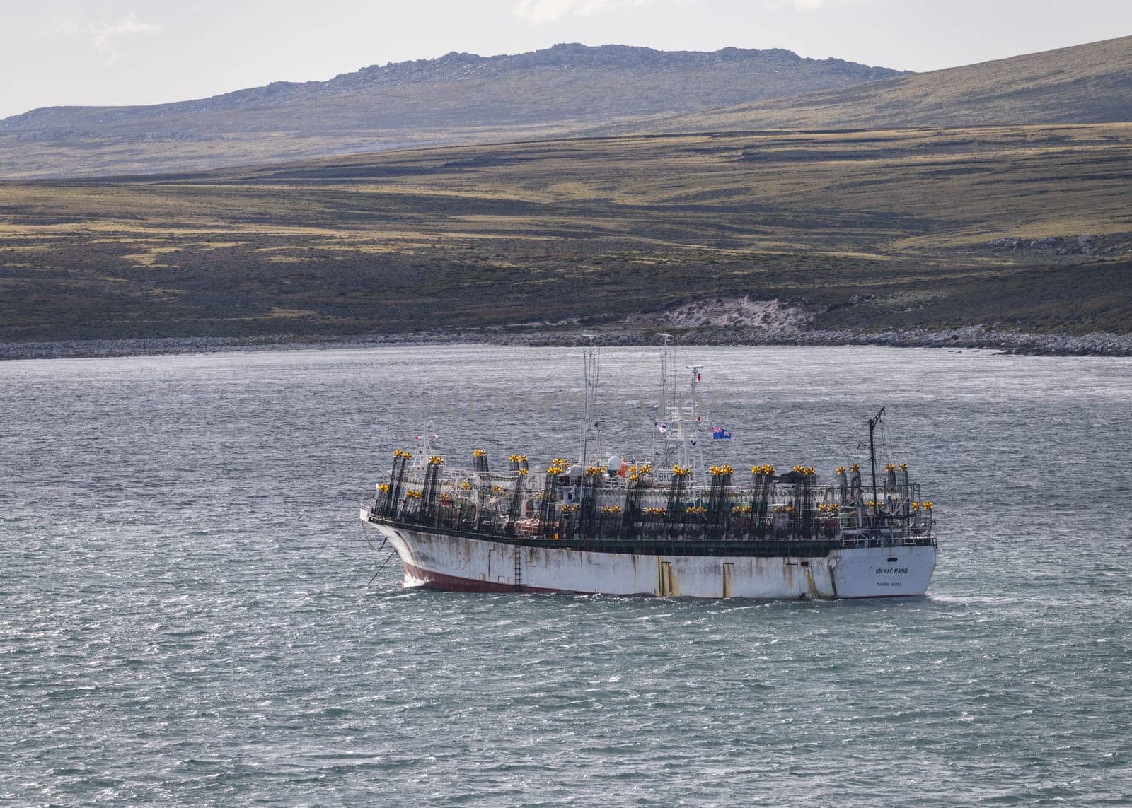 Port Stanley, Falkland Islands - 31 January 2023: Korean fishing boat equipped with electric lights for squid fishing