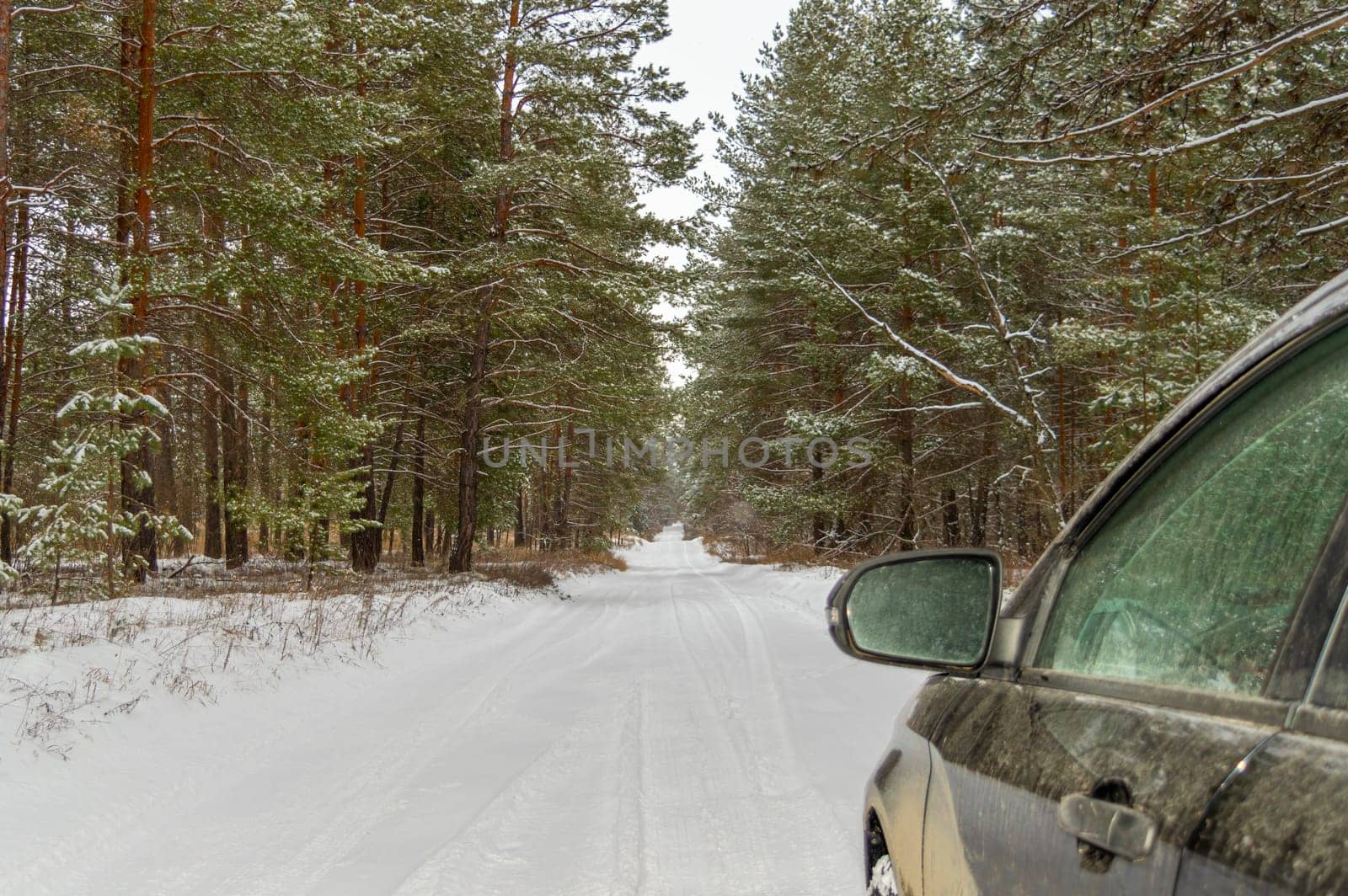 a car on a snowy road in a winter forest by roman112007