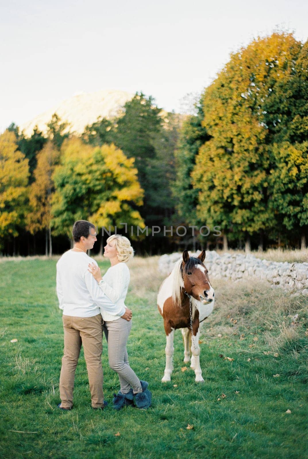 Man and woman stand in an embrace on a green pasture near a horse. High quality photo