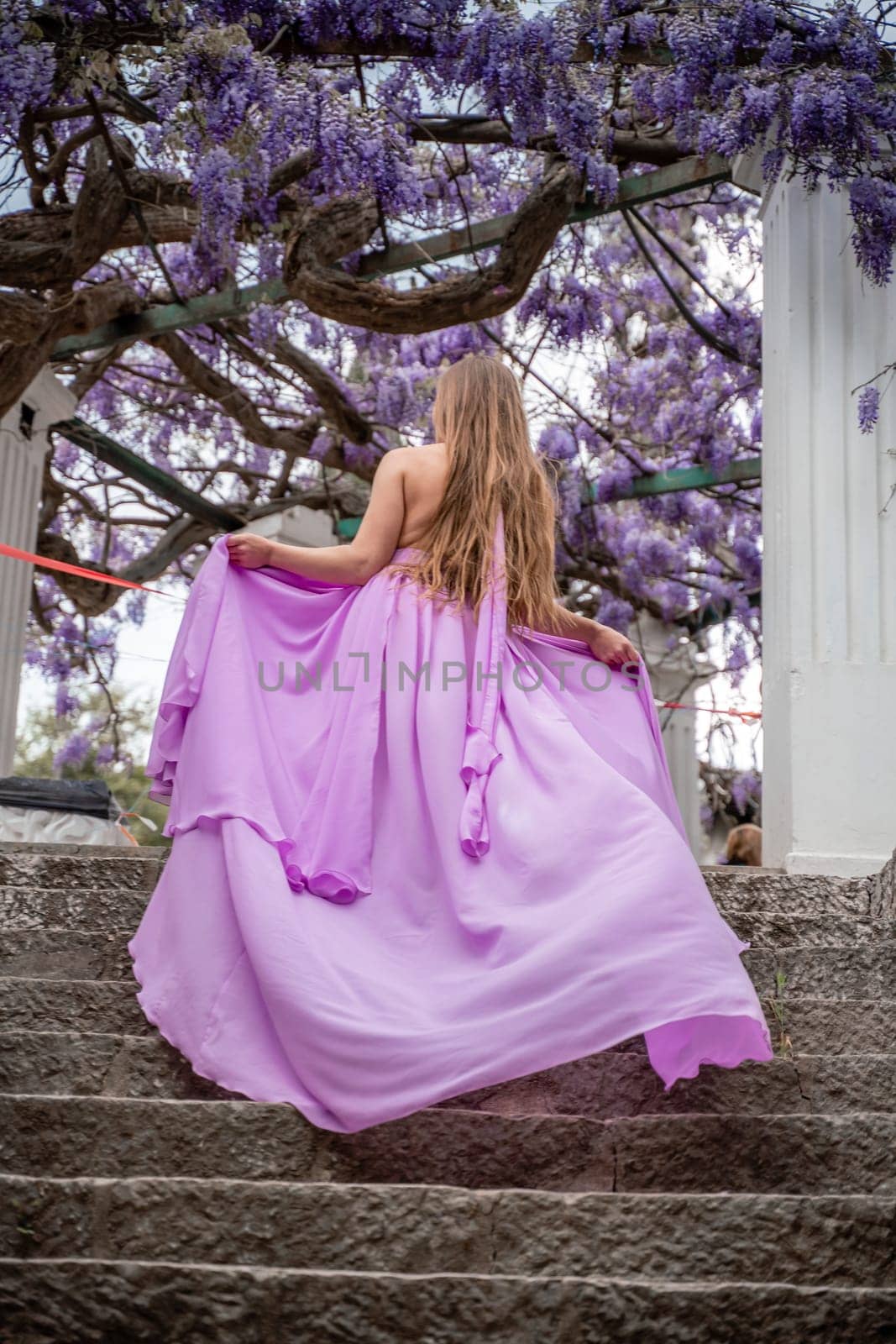 Woman wisteria purple dress. Thoughtful happy mature woman in purple dress surrounded by chinese wisteria