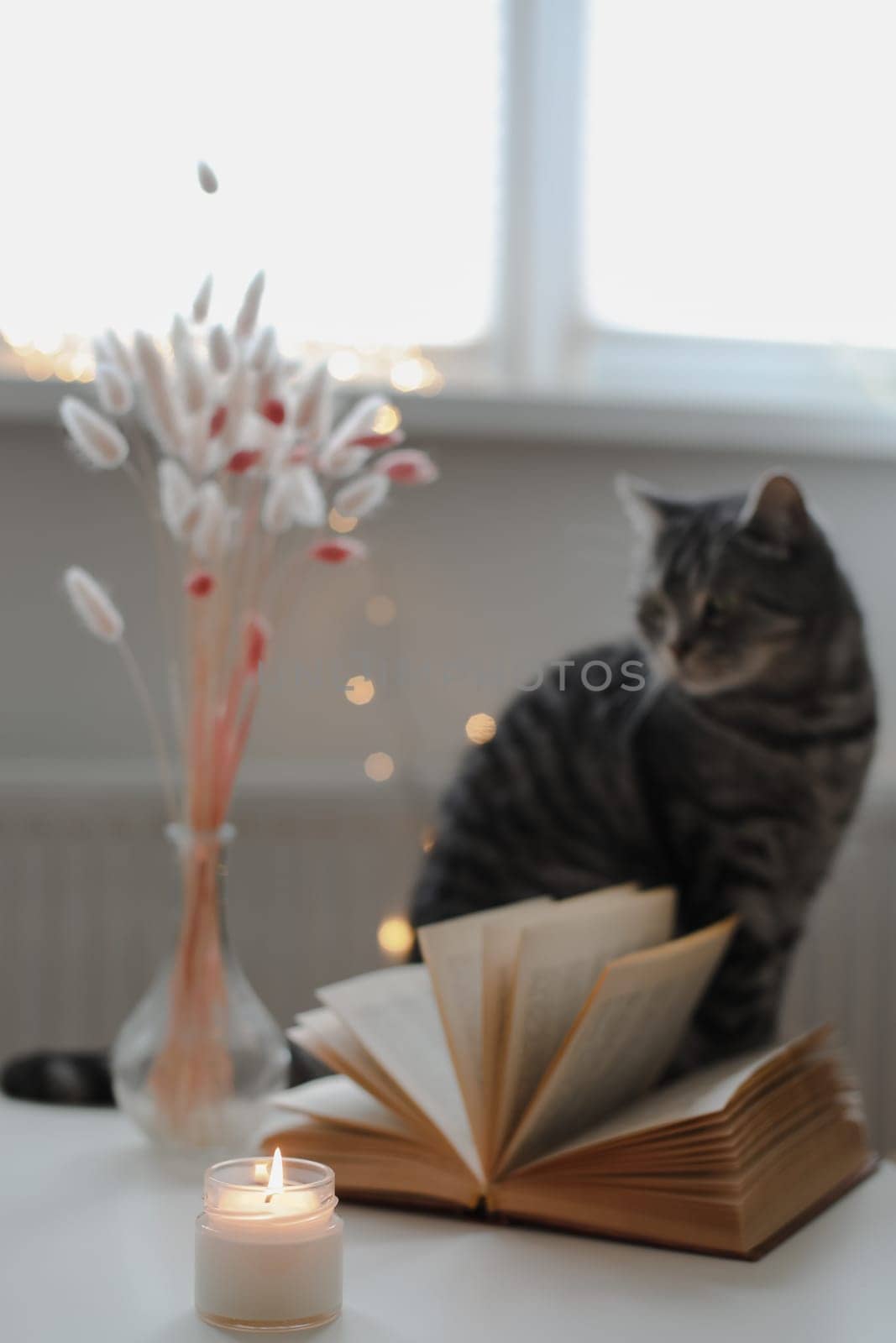 Still life details, candle a funny cat on a table in living room. Cozy home atmosphere. Lazy winter weekend