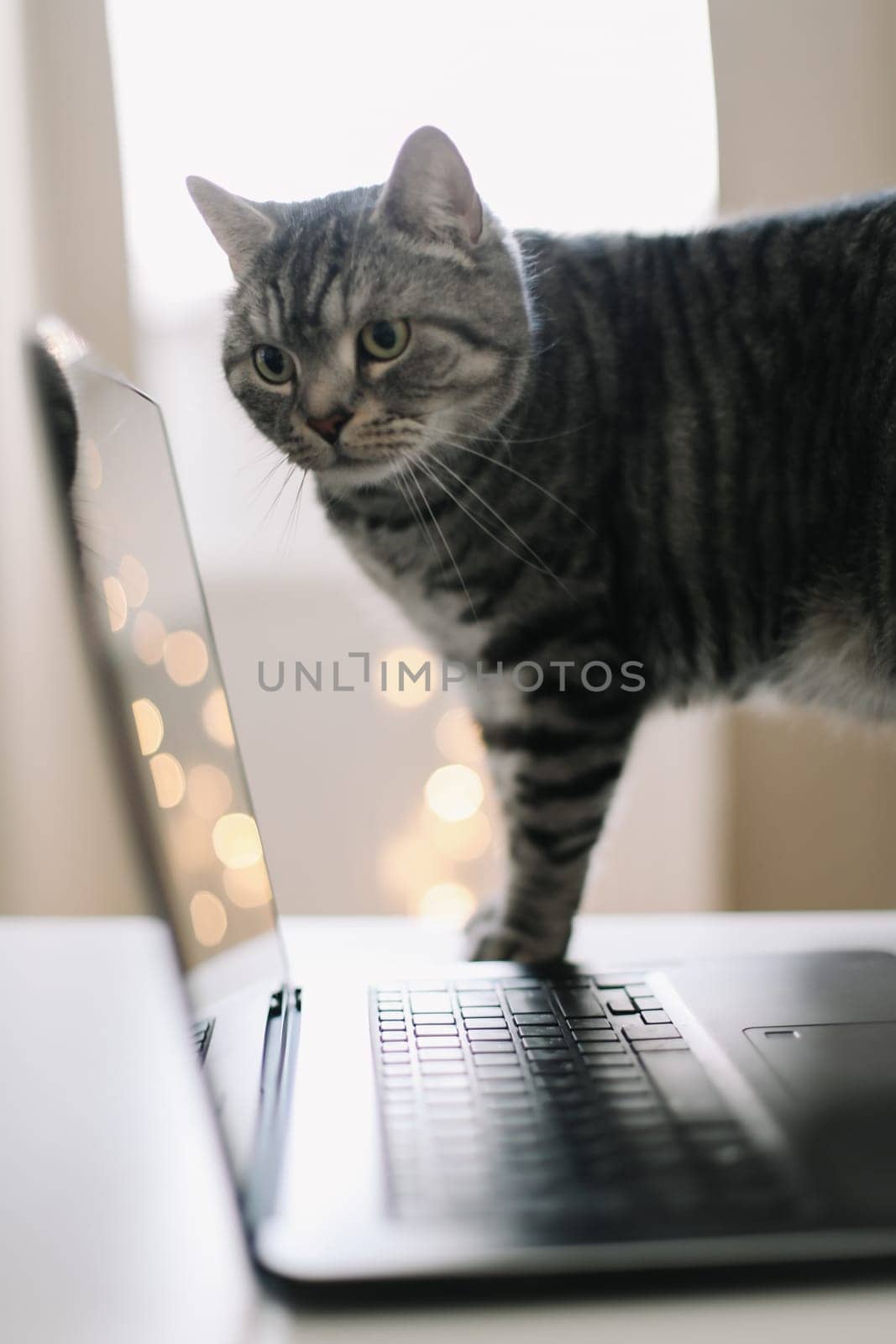 Close up of laptop keyboard with blank screen on a table by blurry bokeh lights background in the house or office modern, sunlight in morning