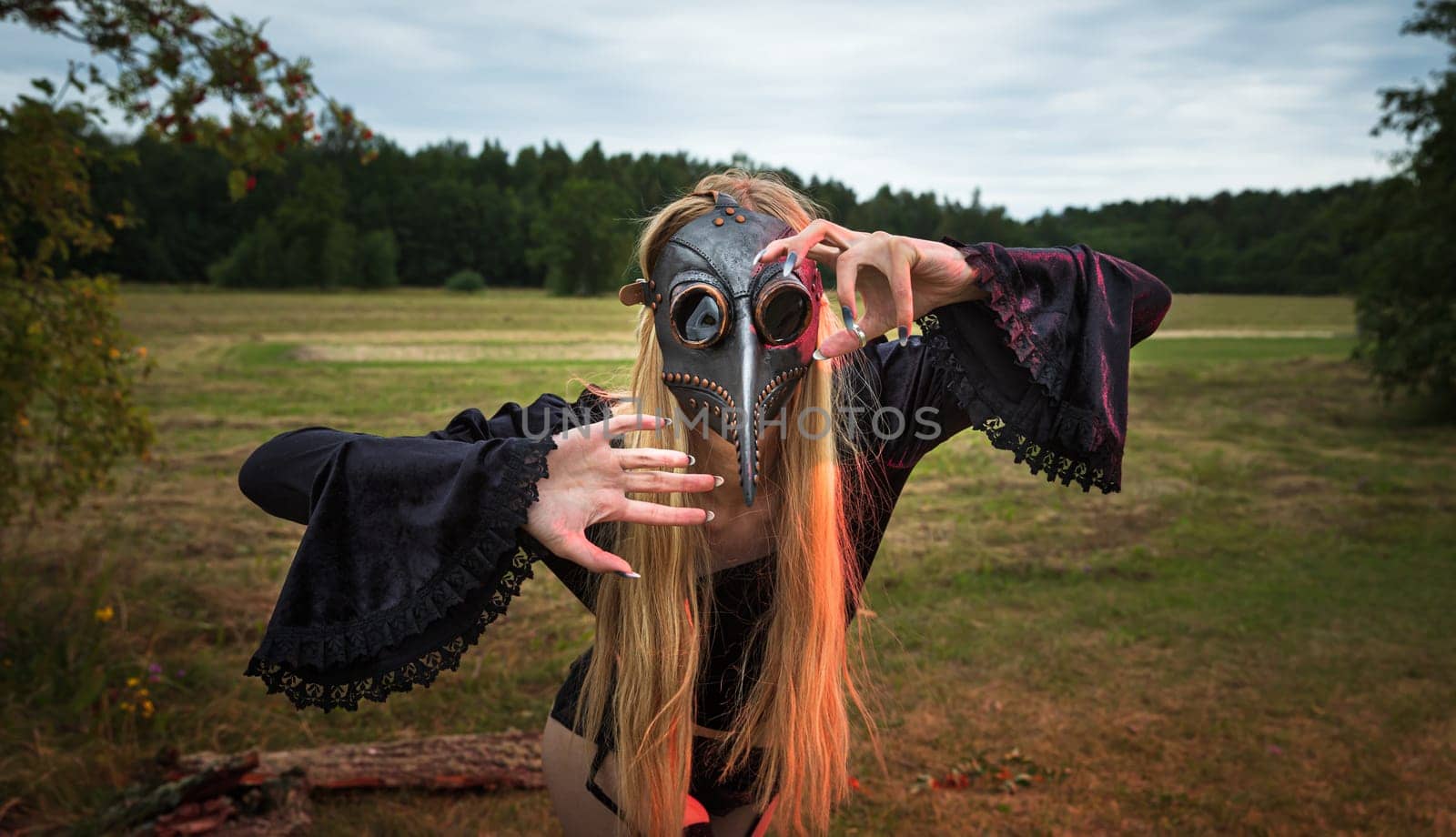 A fascinating and surreal photo of a woman in a crow mask amidst a field and forest.