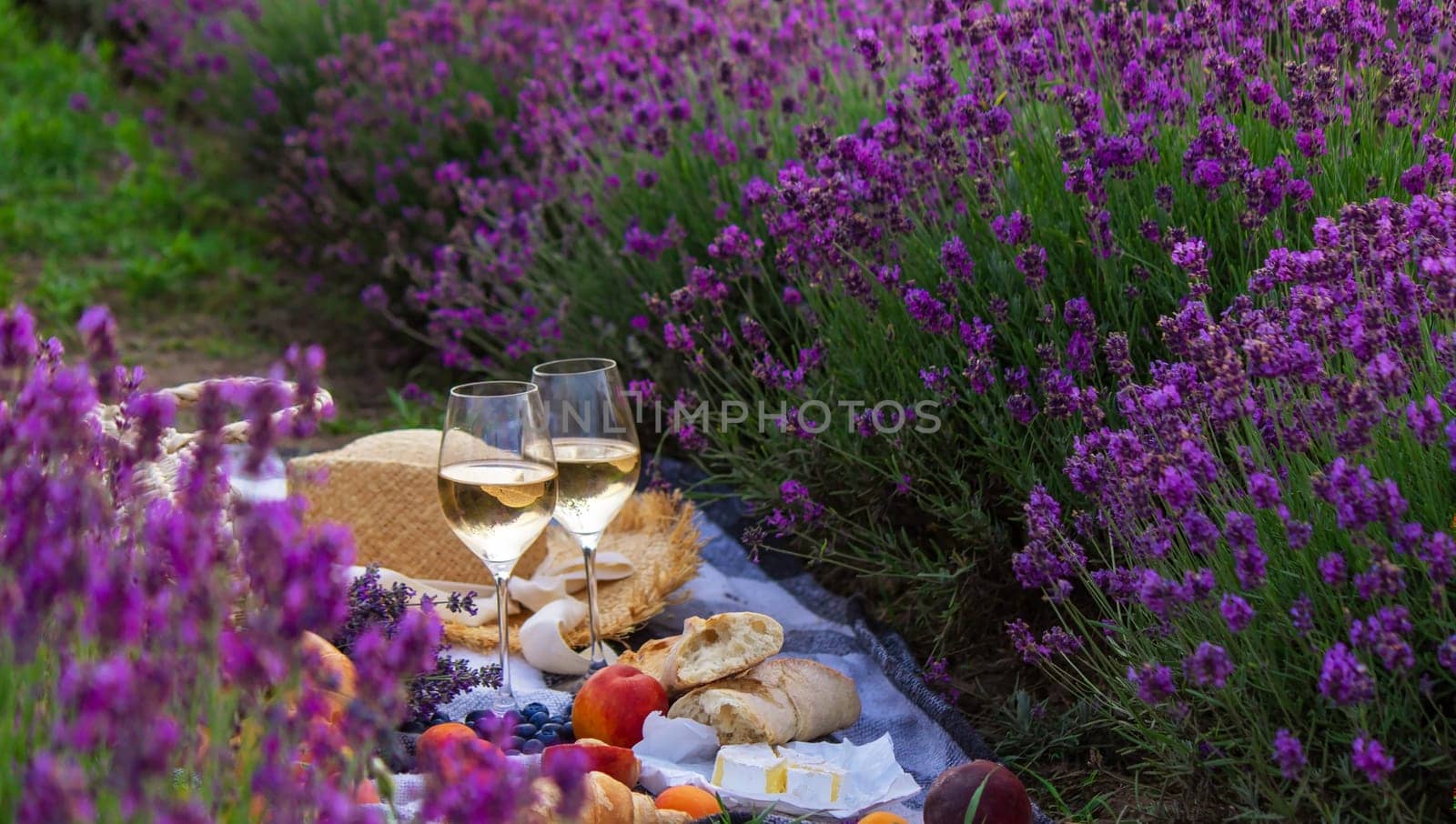 wine, fruits, berries, cheese, glasses picnic in lavender field Selective focus Nature