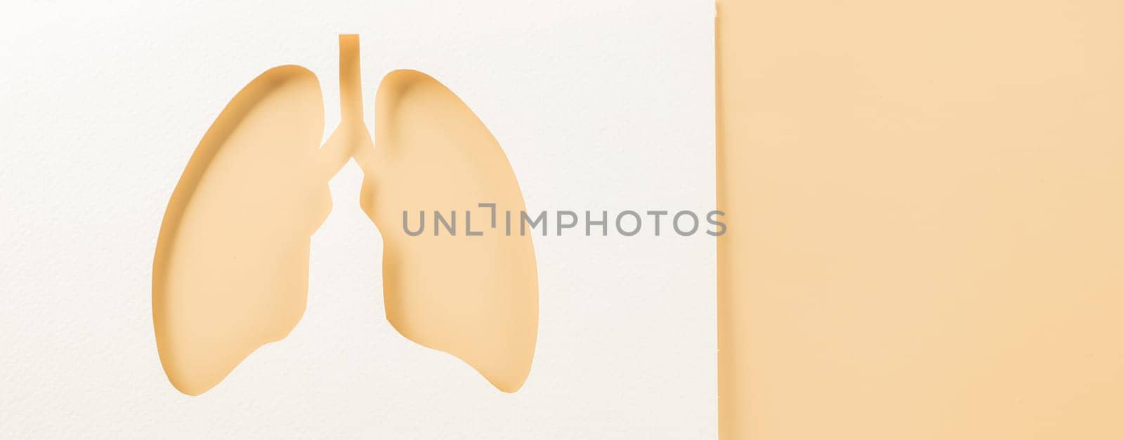 World tuberculosis day. Lungs paper cutting symbol on pastel background, copy space, concept of world TB day, banner background, respiratory diseases, lung cancer awareness, Paper Art, 24 March