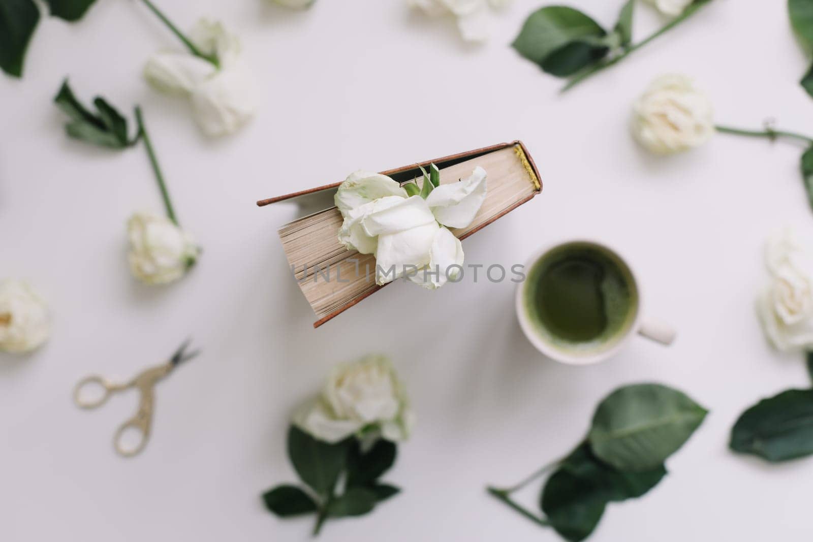 floral composition with white roses on a white background, top view, flatlay