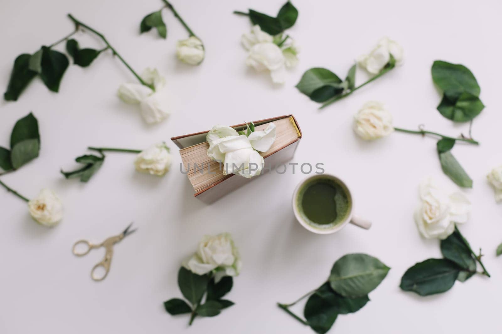 floral composition with white roses on a white background, top view, flatlay