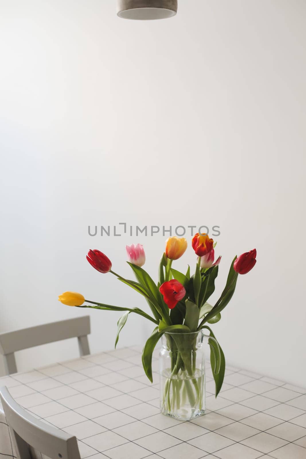 Colorful fresh tulips on a white background. Valentines Day, March 8, spring background