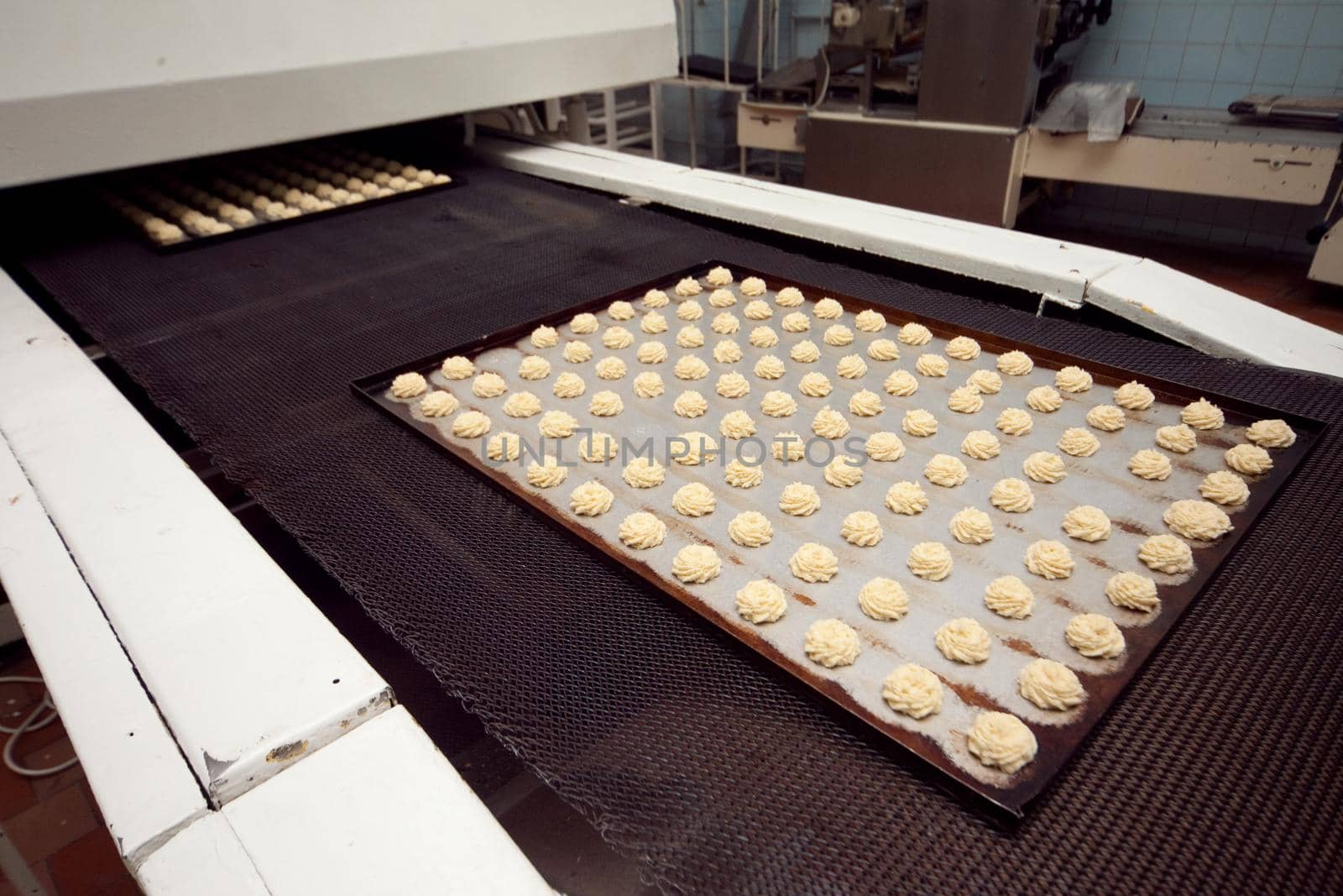 A tray of ready-made cookies is taken from the conveyor belt in the bakery.