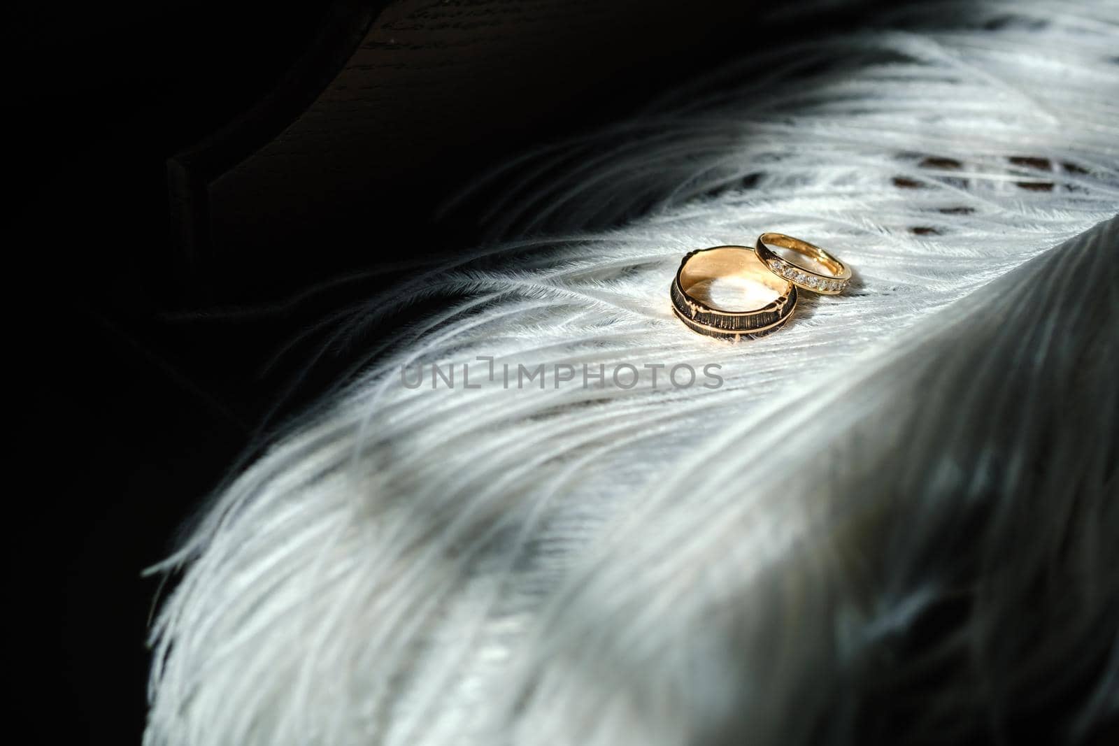 Two wedding rings lie in white feathers. The concept of love.
