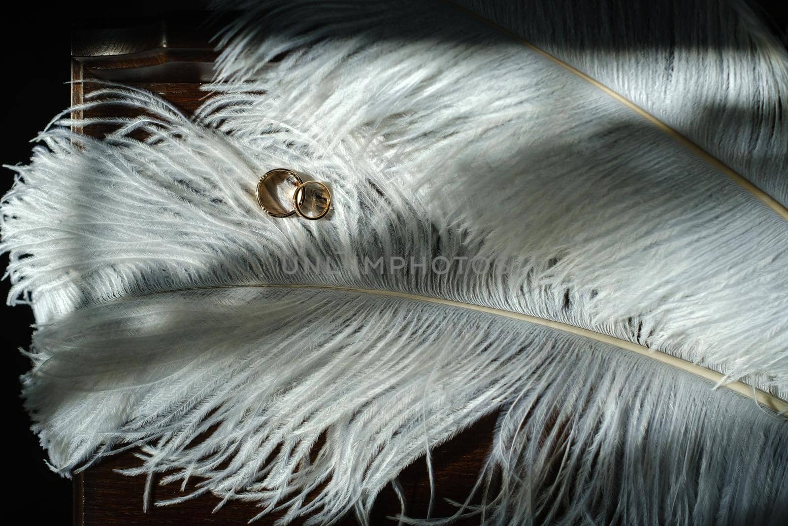 Two wedding rings lie in white feathers. The concept of love.