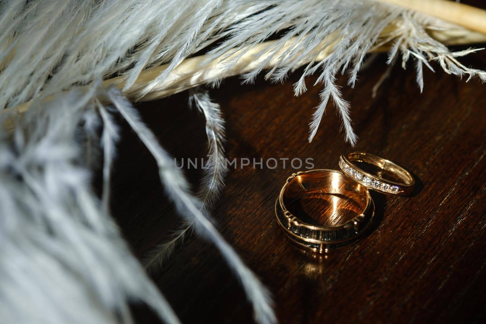 Two wedding rings lie in white feathers. The concept of love.