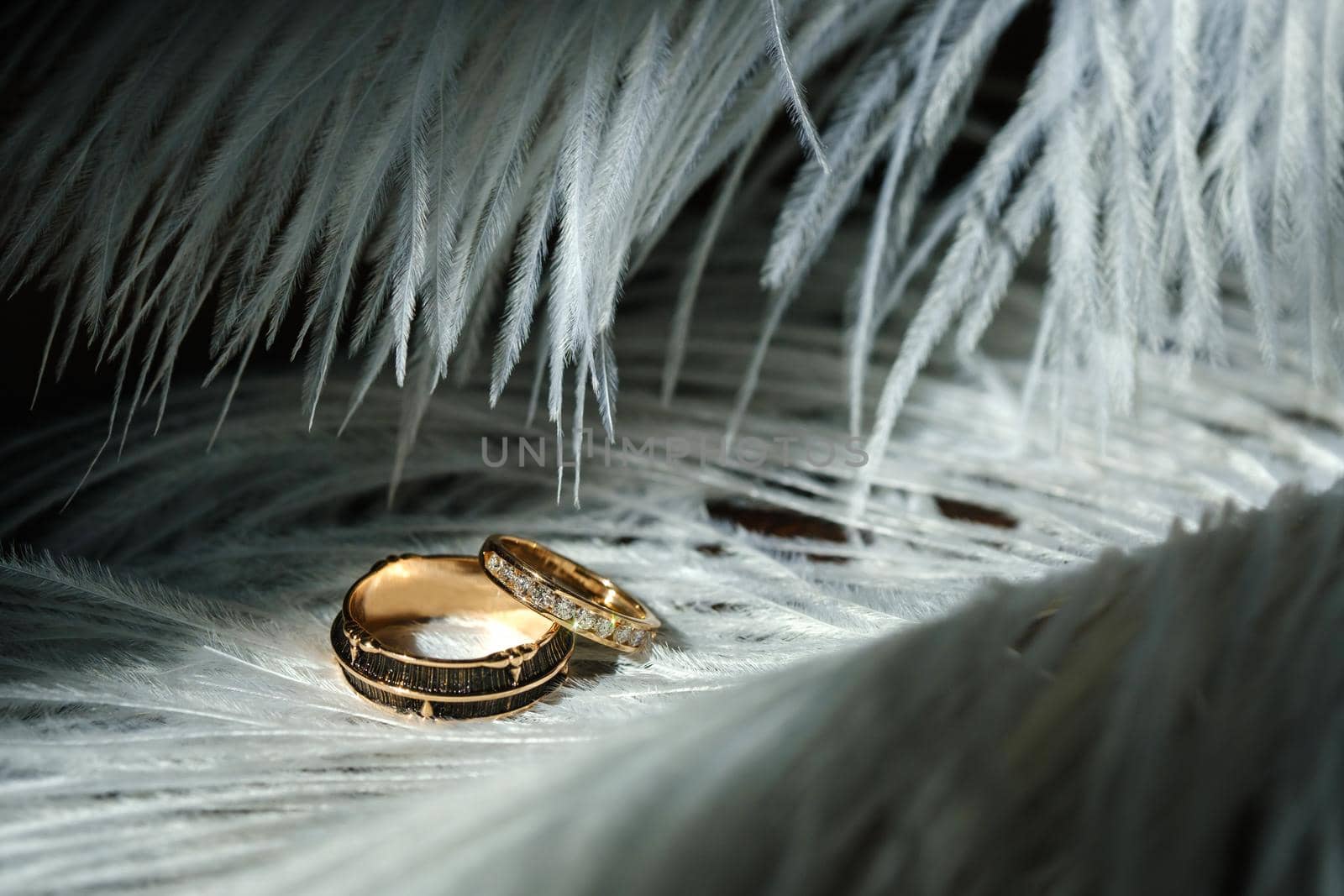 Two wedding rings lie in white feathers. The concept of love.