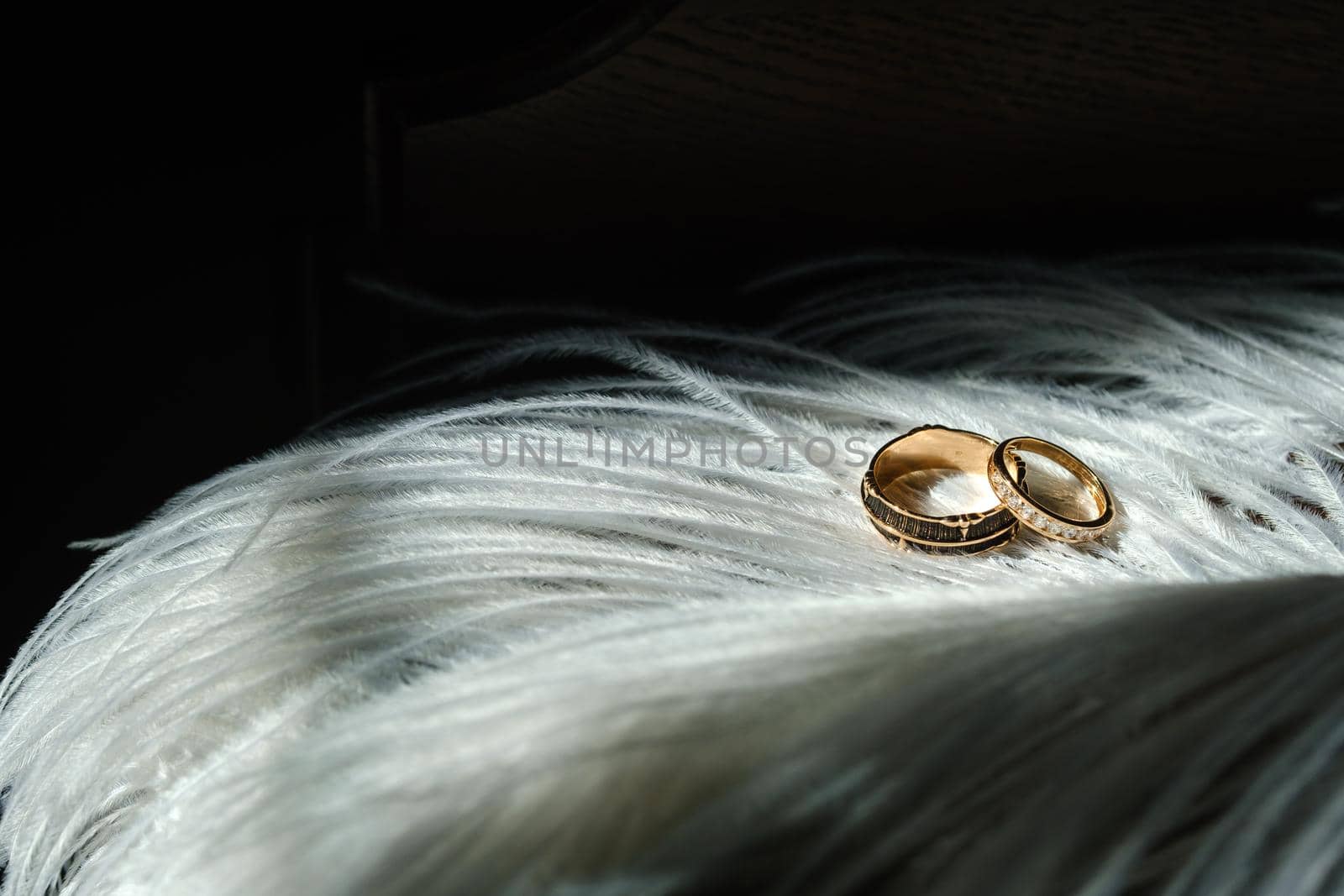 Two wedding rings lie in white feathers. The concept of love.
