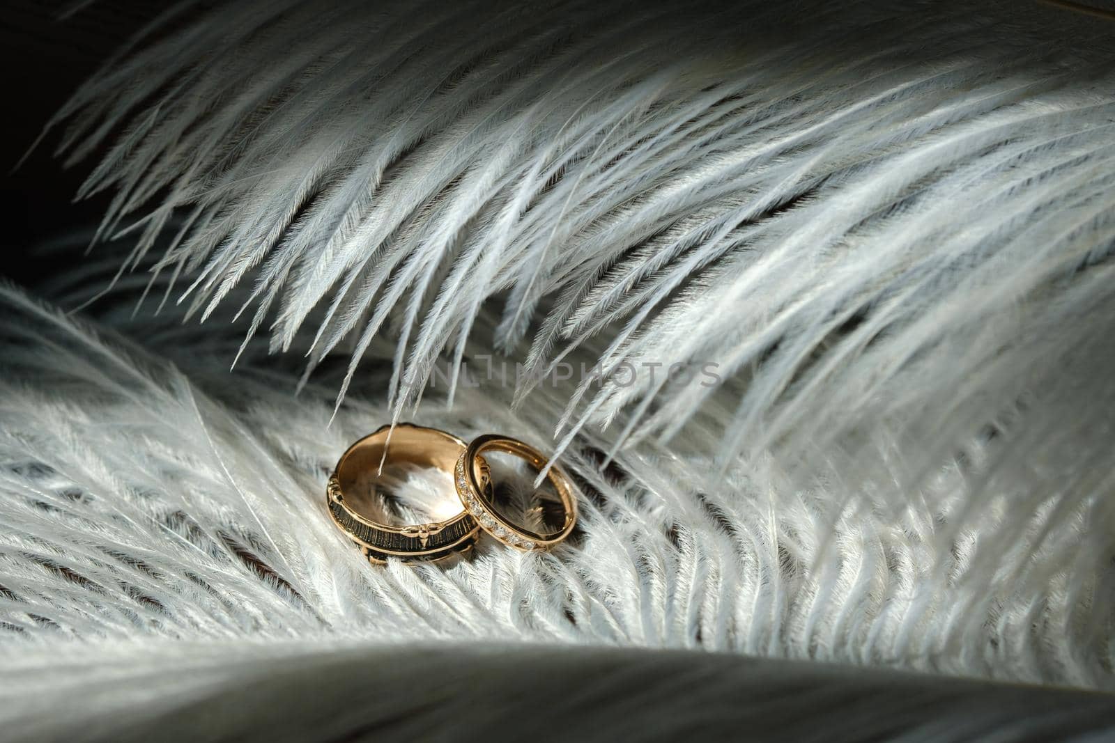 Two wedding rings lie in white feathers. The concept of love.