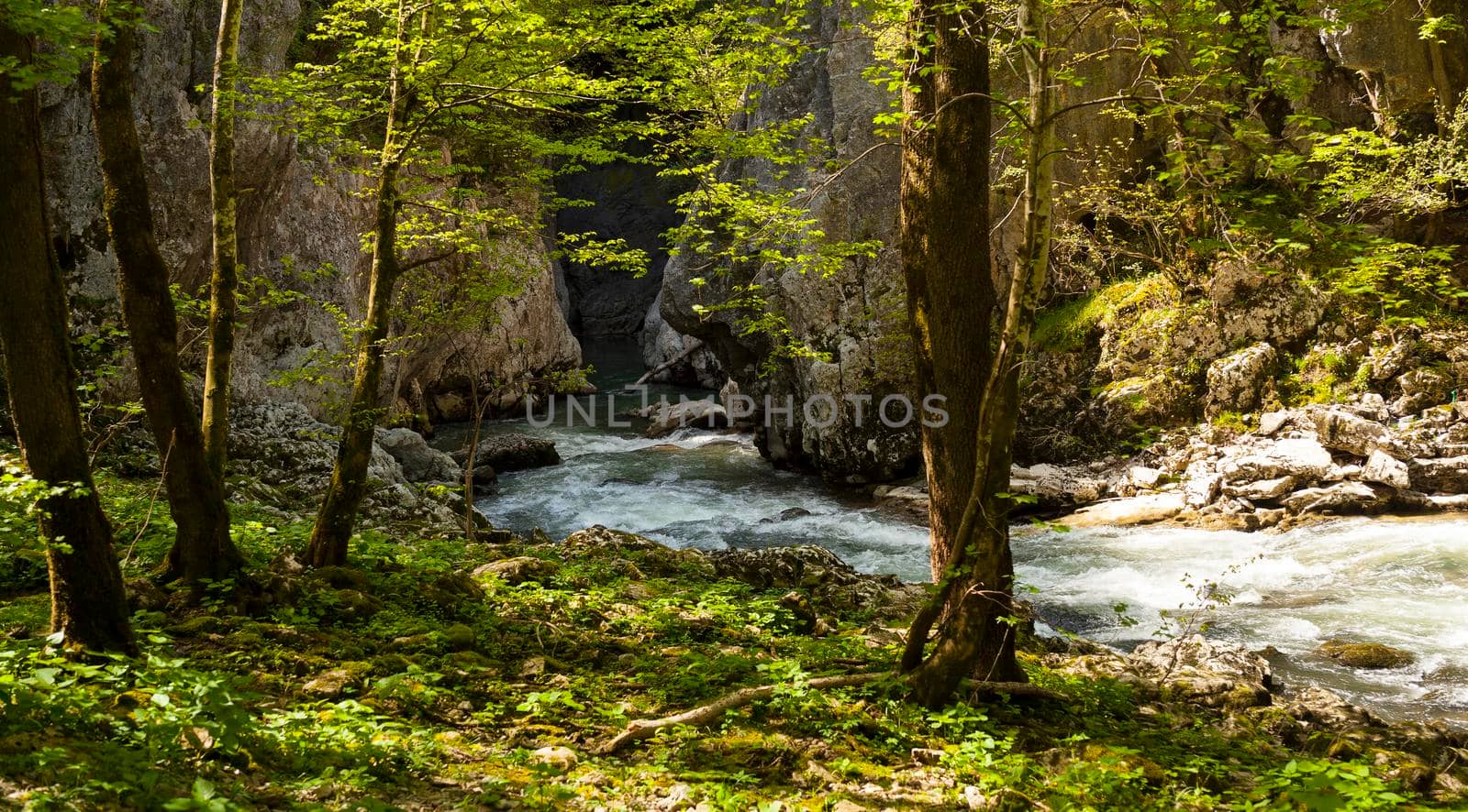 View of Timavo river in the spring season, Slovenia