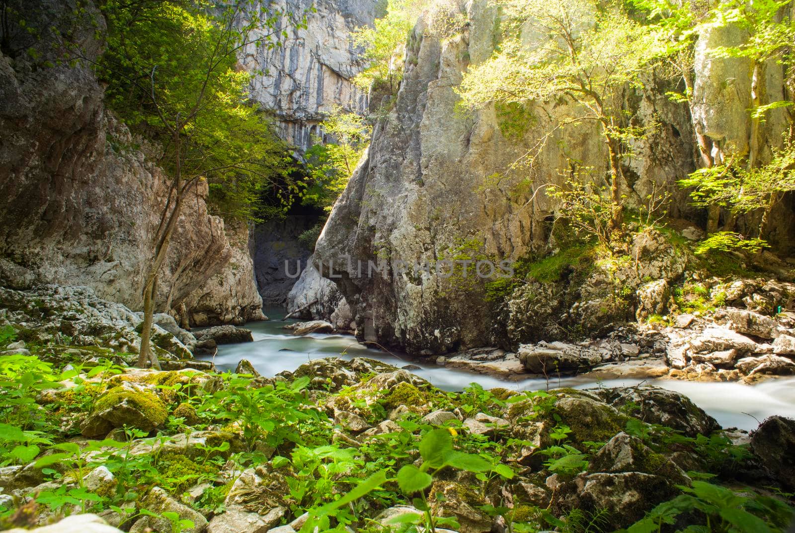 View of Timavo river in the spring season, Slovenia