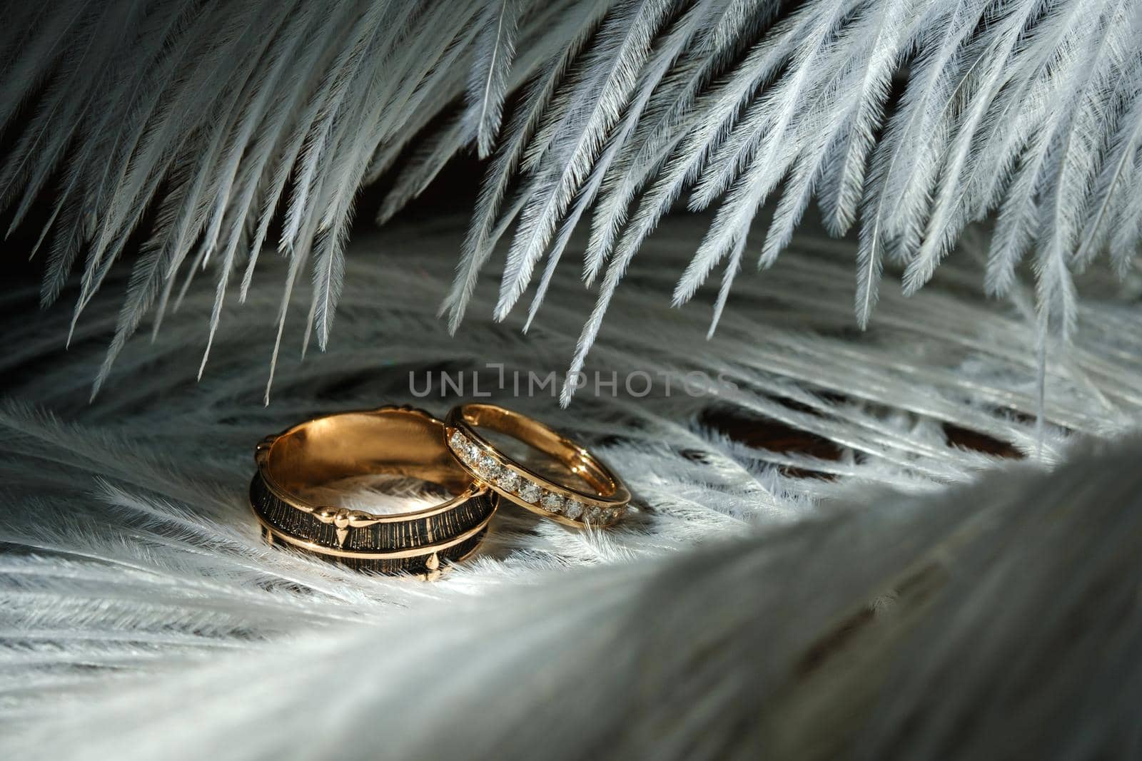 Two wedding rings lie in white feathers. The concept of love.