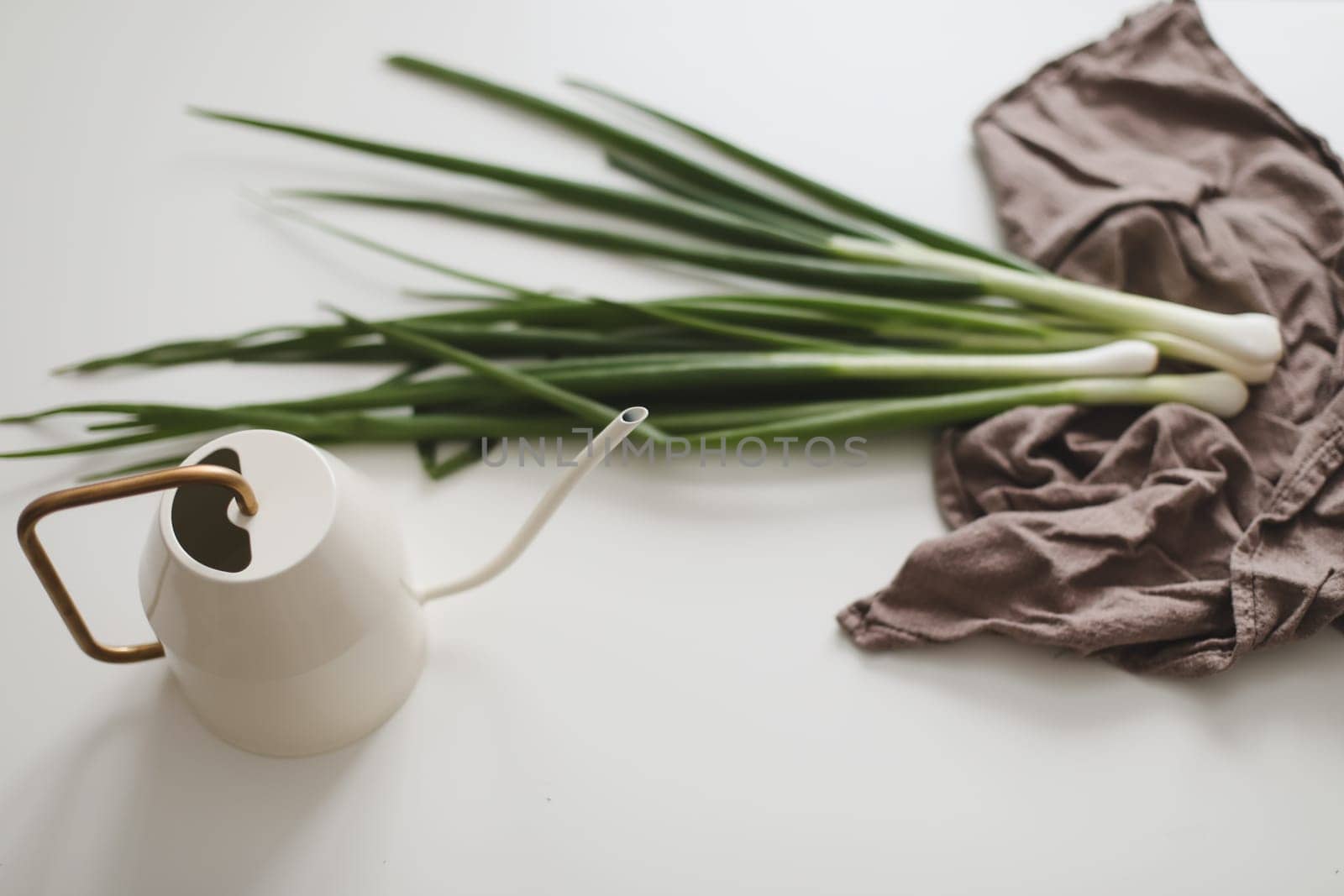 Gardening concept. fresh green onions and watering can on white background top view, flat lay. Healthy organic food
