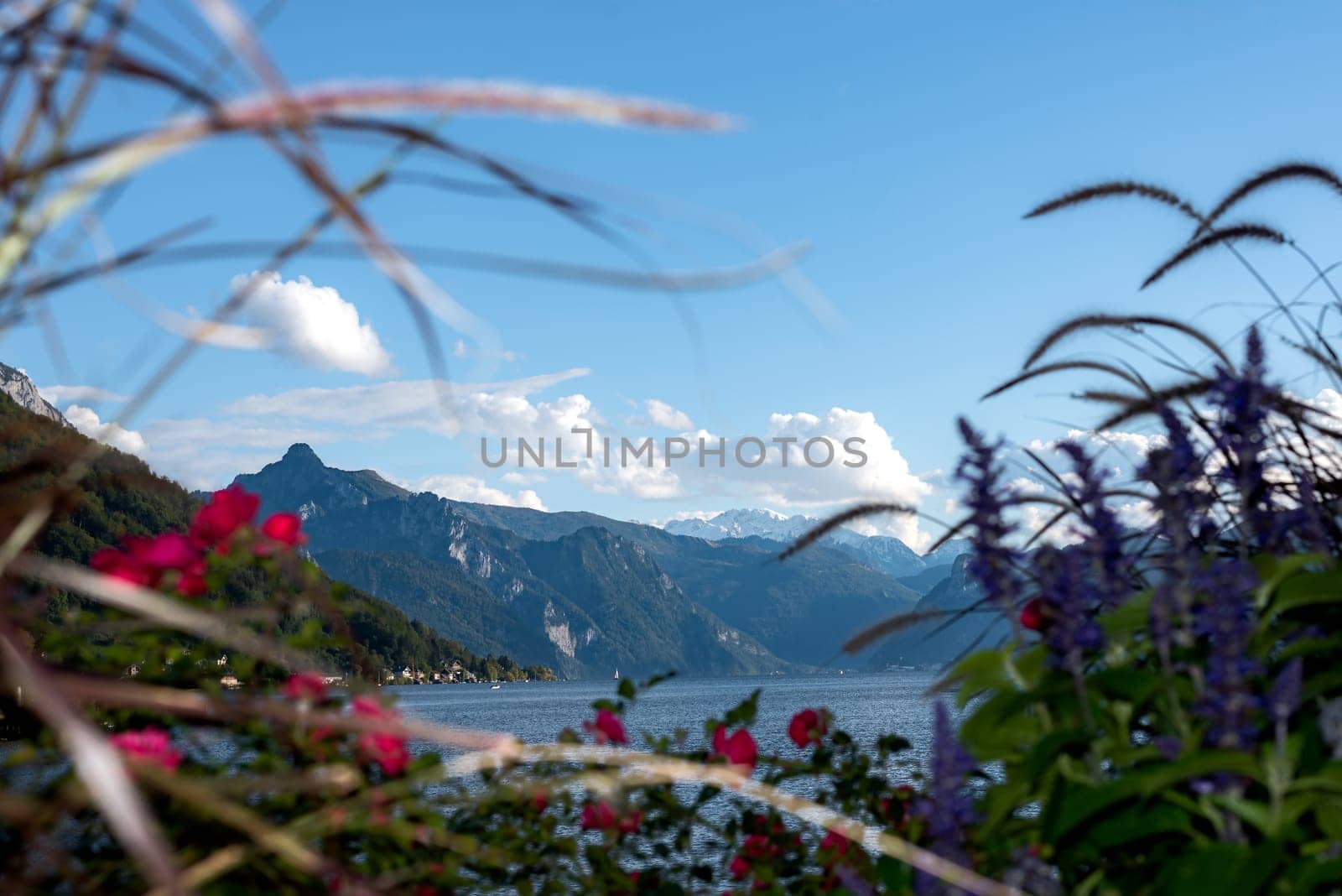 Flowers in the front with lake and mountains on background by Millenn