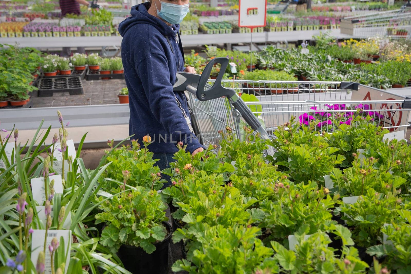 A young woman in a mask chooses and buys seedlings in a garden center with a large assortment of plants, a woman enjoys hobbies and leisure activities, growing plants and flowers in her garden