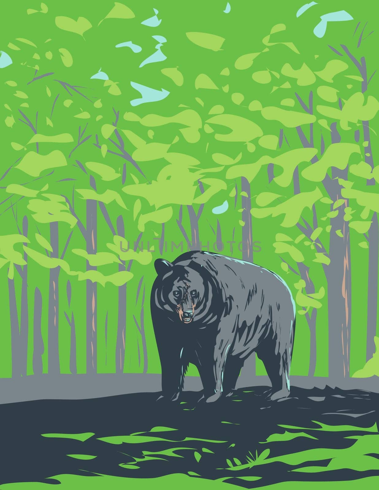 WPA poster art of an American black bear Ursus americanus or baribal endemic to North America in Shenandoah National Park, Virginia done in works project administration or federal art project style.
