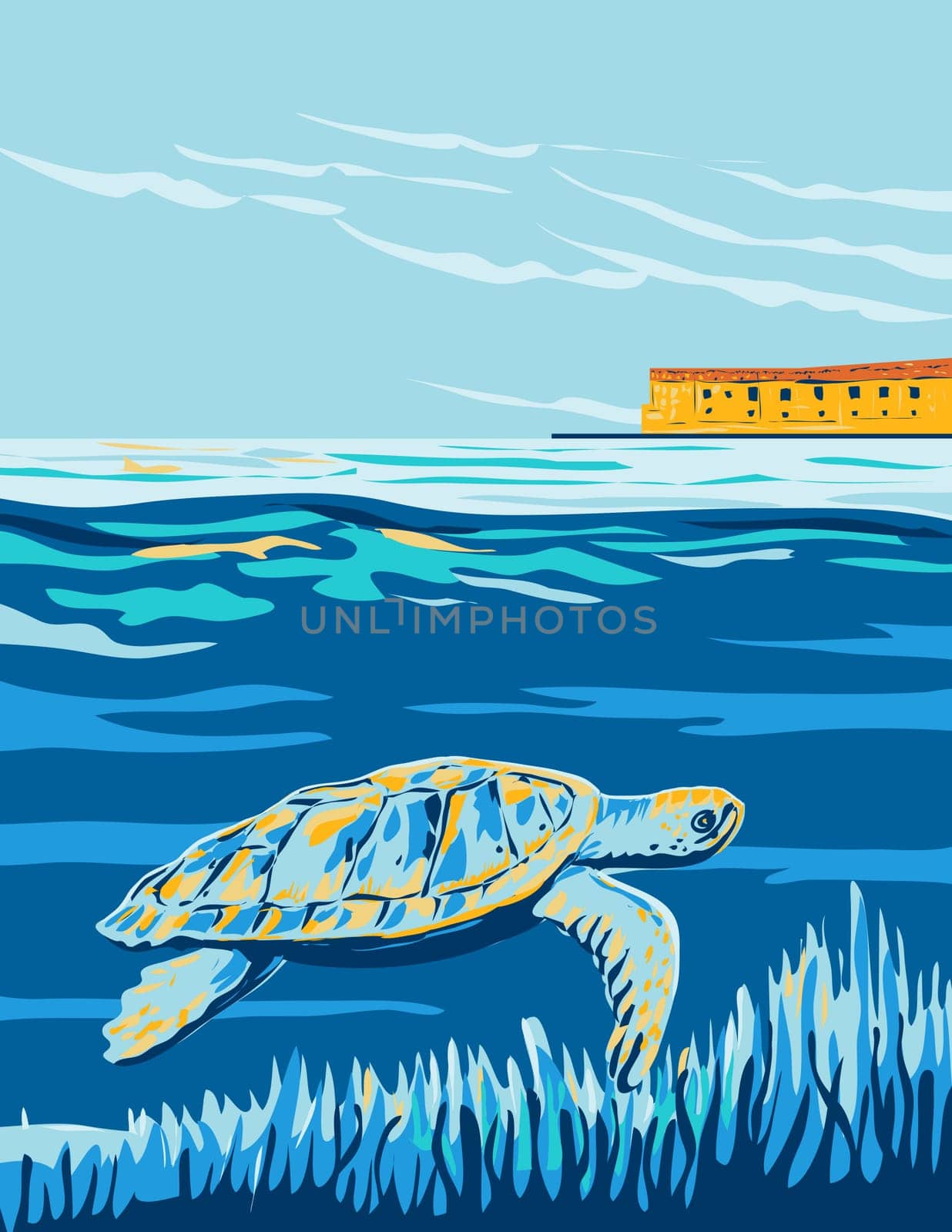 Loggerhead Sea Turtle in Dry Tortugas National Park in Florida WPA Poster Art by patrimonio