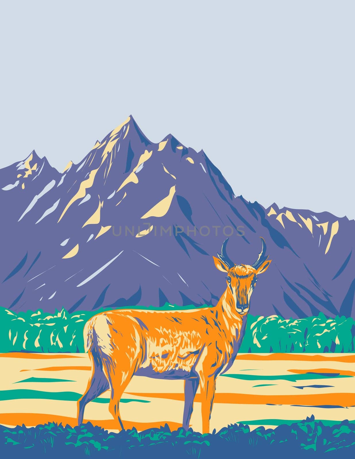 Pronghorn or American Antelope in Grand Teton National Park Wyoming WPA Poster Art by patrimonio