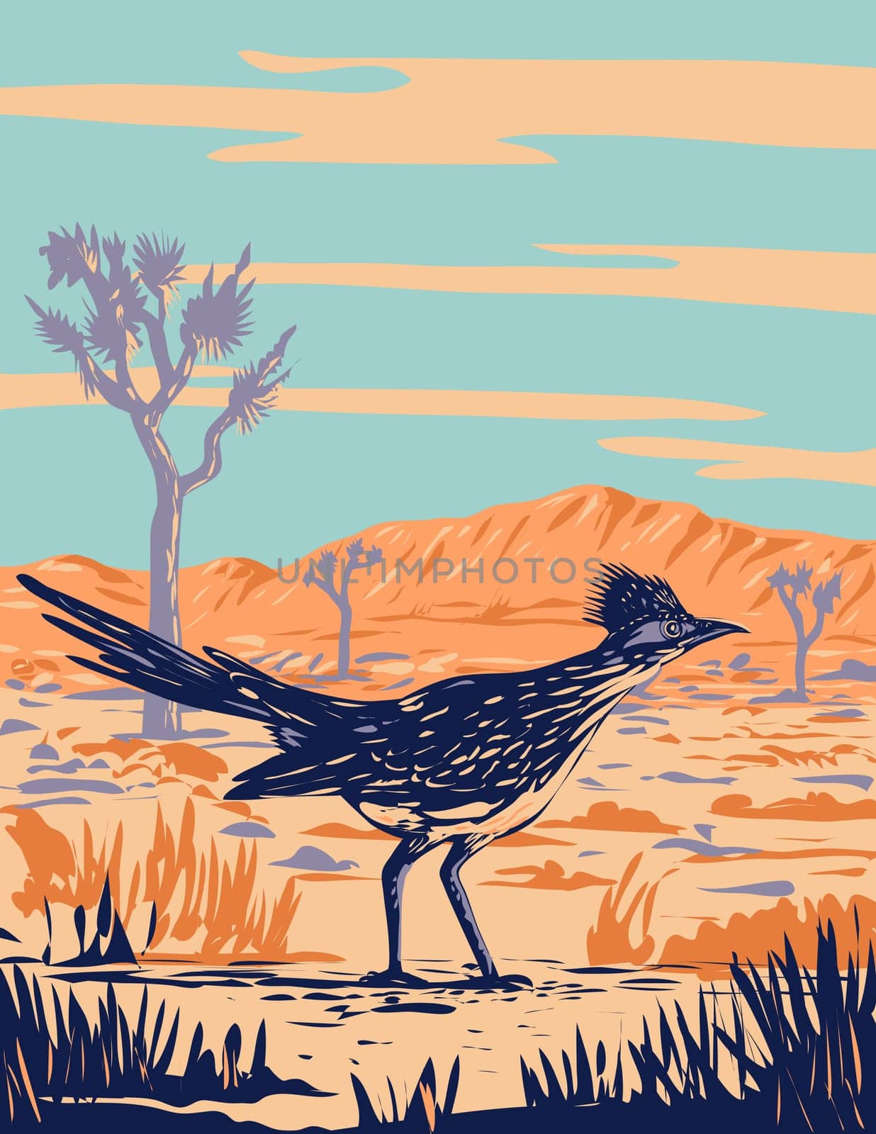WPA poster art of a roadrunner, chaparral bird or chaparral cock in Joshua Tree National Park located in Mojave Desert, California done in works project administration or federal art project style.
