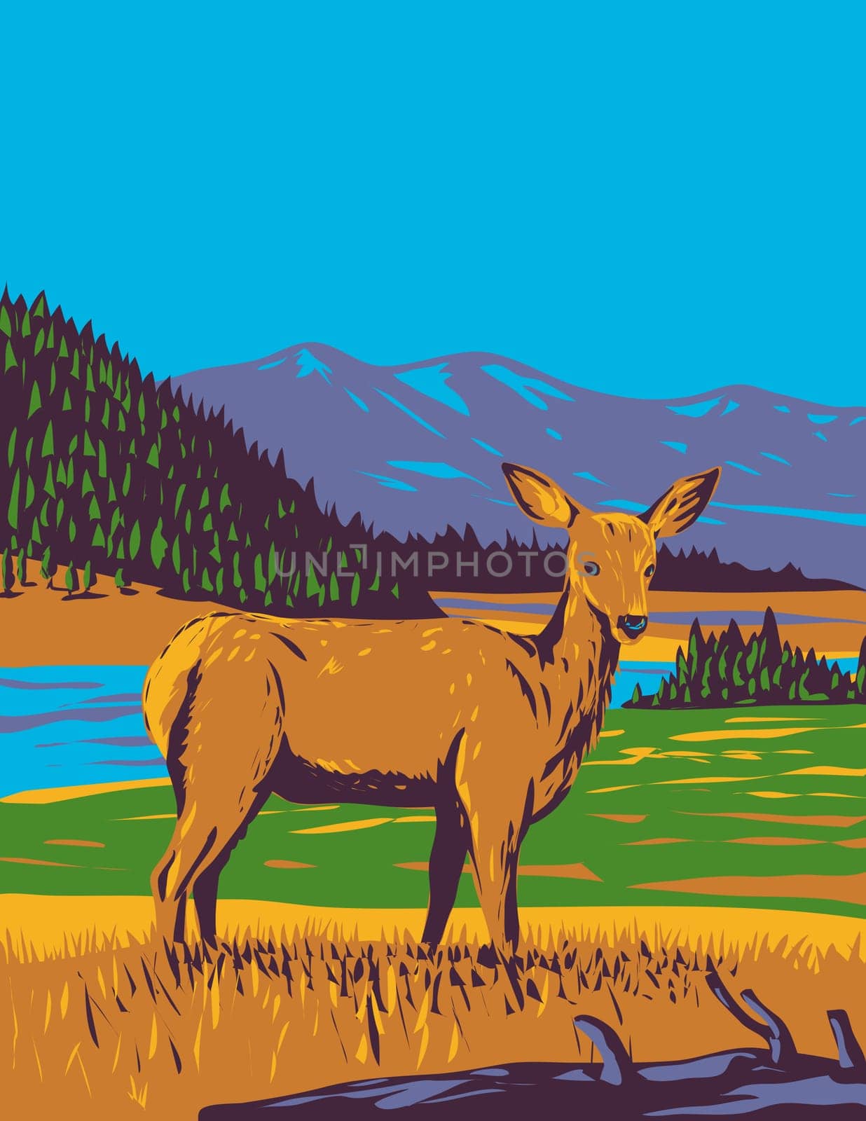 WPA poster art of a mule deer Odocoileus hemionus in Yellowstone National Park, Wyoming USA done in works project administration or federal art project style.