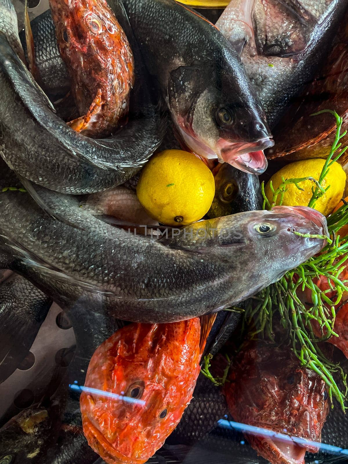 Raw fish fillet with tomatoes and herbs. Against a dark background. Seafood on ice at the fish market. Seafood. Healthy diet eating concept. View from above. by Costin