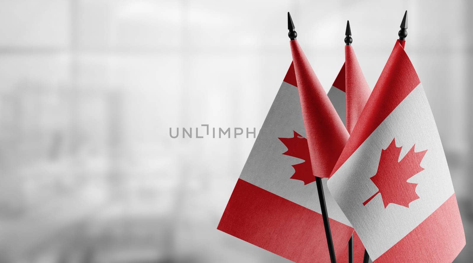 Small flags of the Canada on an abstract blurry background.