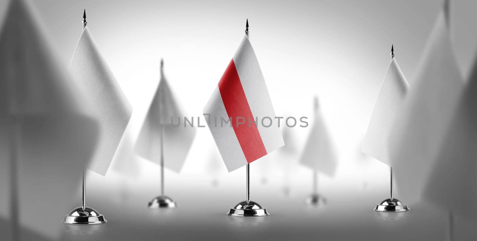 The national flag of the Belarus surrounded by white flags.