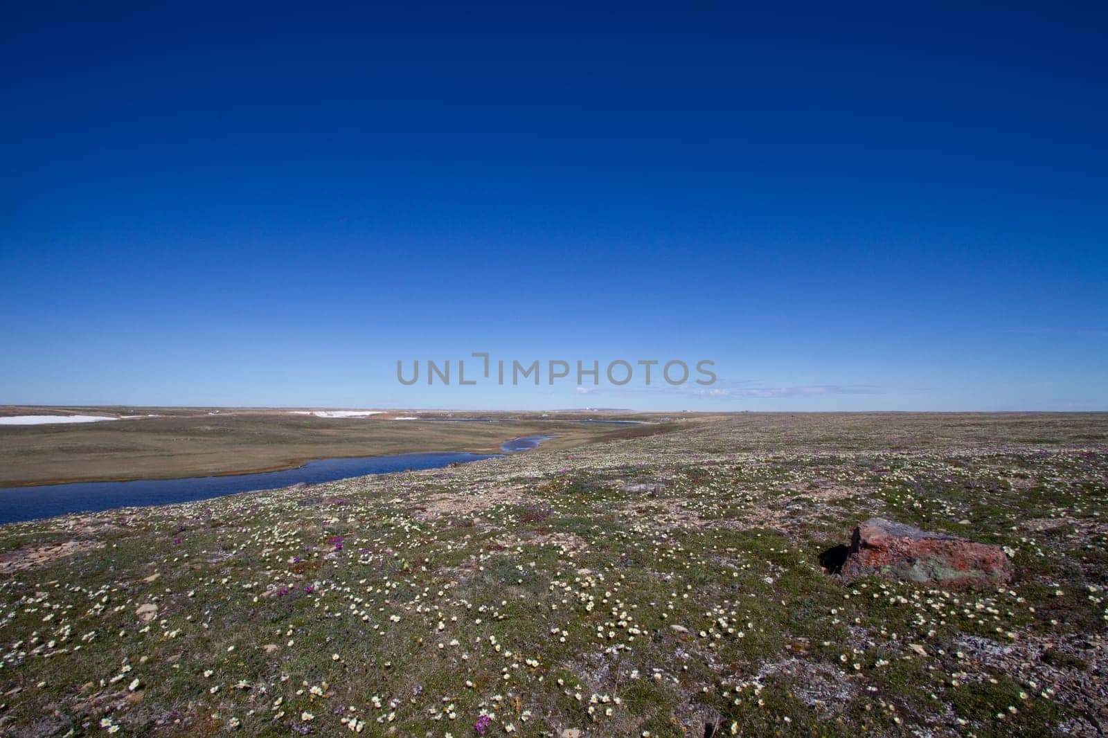 Arctic landscape in summer time. A river with broken ice flowing along a barren tundra. Near Cambridge Bay, Nunavut, Canada