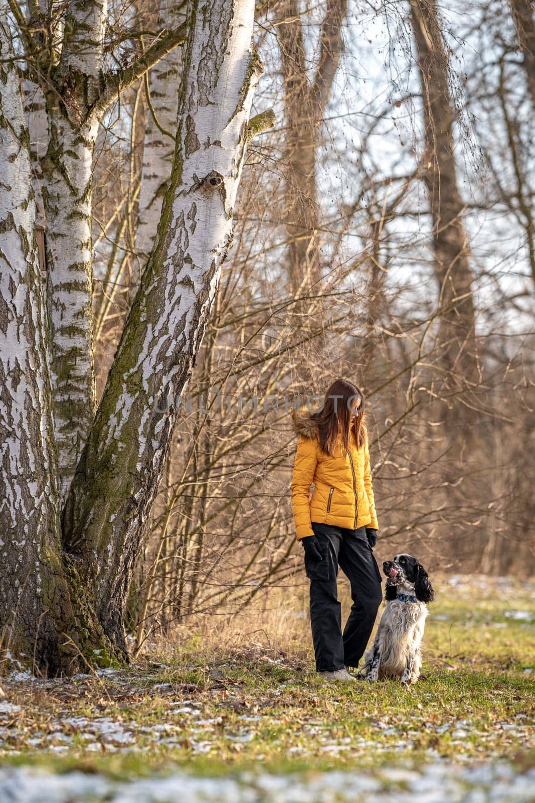 teenager in the park with a dog. english setter. High quality photo