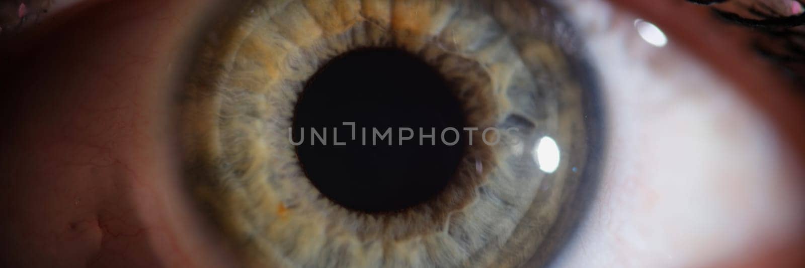 Macro photo of green female beautiful eye closeup. Laser vision correction concept