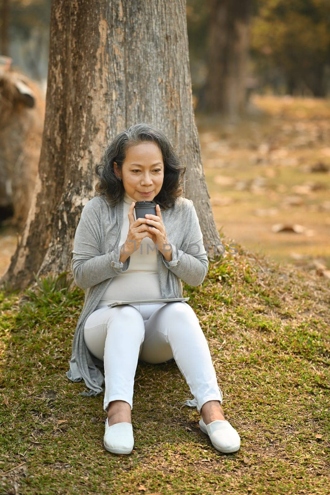 Satisfied middle aged woman holding paper cup of coffee resting on under tree. Authentic senior retired life, leisure activity concept by prathanchorruangsak