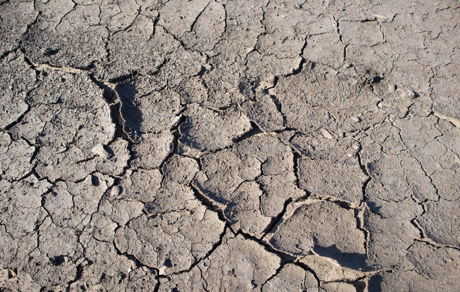 Background of dry cracked earth, parched earth, texture of earth dirt, desert, global warming, climate change by claire_lucia