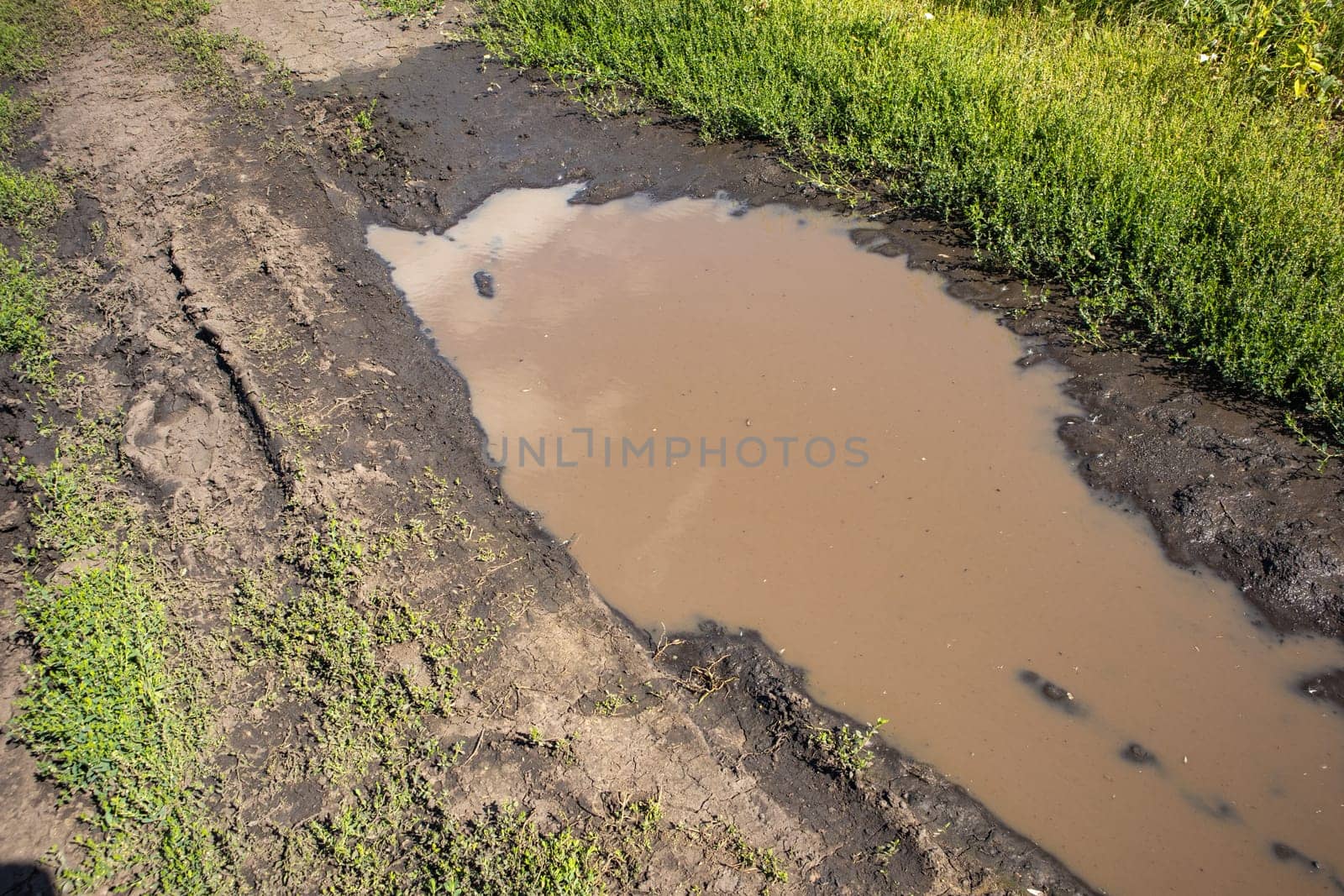 A close-up view of puddles of water on a muddy country road with a track by claire_lucia