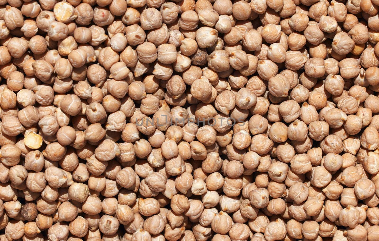 Raw chickpea beans. Top view on chickpea seeds. Food background from a texture of raw chickpeas close-up, top view. Uncooked chickpea
